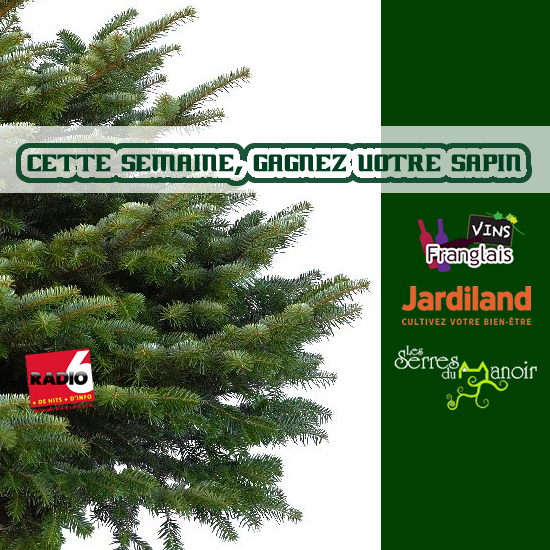 Gagnez votre sapin de Noel