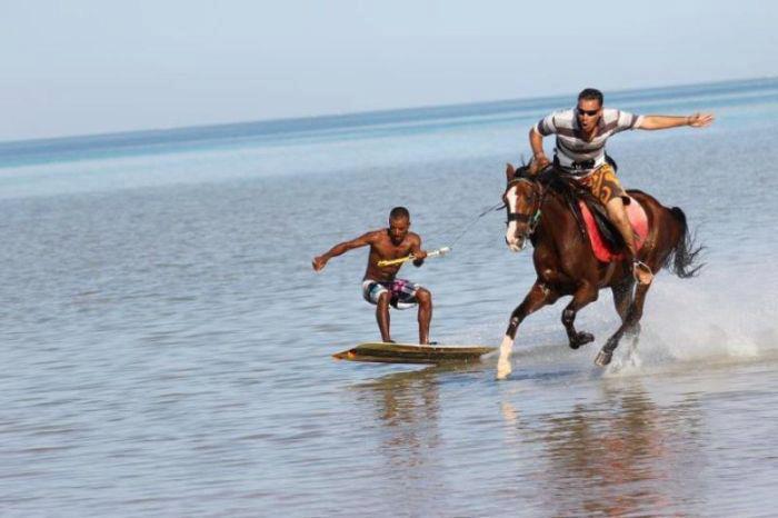 démonstrations de horse wakeboard cet après midi sur la plage du Touquet ! 