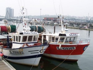 Zoom sur le PATER NOSTER bateau etaplois qui ramène en ce moment de très très bons harengs!