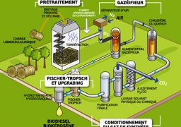 BioTFuel : laboratoire géant de production de biodiesel à Dunkerque.