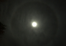 Un halo lunaire dans le ciel de Berck