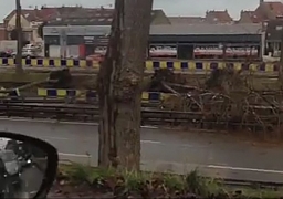 A Dunkerque, des arbres chutent sur 4 voitures. Aucun blessé !