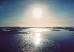 VIDEO : La Baie d'authie comme vous ne l'avez jamais vue ! 