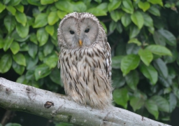 Le parc zoologique Fort-Mardyck-Dunkerque vous propose une expérience extraordinaire