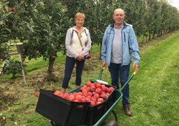 Sortie : cueillez vos pommes aux Vergers du Franc Picard