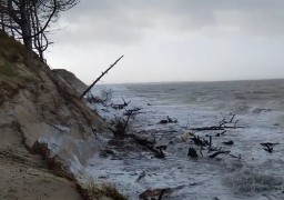 [VIDEO] Tempête Eleanor : la Baie d'Authie à nouveau fragilisée 