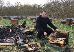 Airon-Saint-Vaast : un rucher incendié, une cagnotte lancée pour aider l'apiculteur