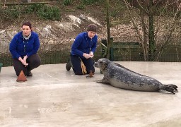 Passez une journée avec un soigneur du Zoo de Fort-Mardyck !