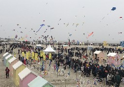 Berck : des dizaines de milliers de visiteurs pour le 1er week end des Cerfs-Volants