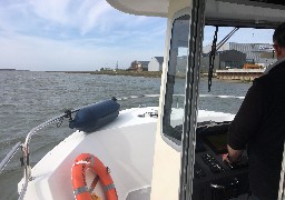 Sorties: la découverte de la Baie de Canche en bateau au départ du port d'Etaples 