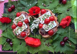 L'EHPAD « Au  temps des cerises » remporte le concours du meilleur sandwich à Audruicq 