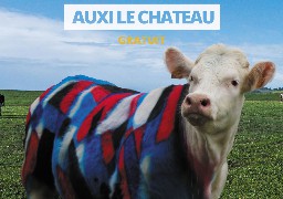 Auxi-le-Chateau : de la culture urbaine à la campagne, c'est Ox Hip Hop et c'est dès ce vendredi