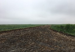 Groffliers: terminé le béton, le chemin d'accès à la Baie d'Authie a été renaturé