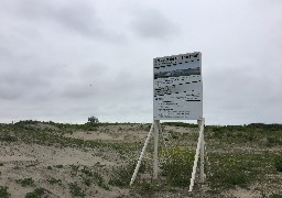 Renaturation de l’ancienne « jungle » de Calais 