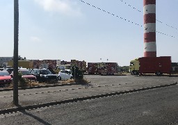 Berck : un dromadaire découvert mort dans les dunes 