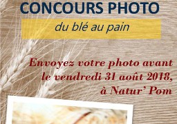 « Du blé au pain », un concours photo est lancé autour d’Audruicq !