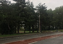 Retard dans l’aménagement du bois Chico-Mendès à Calais