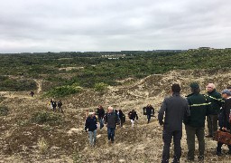 Les espaces dunaires forestiers protégés par l'ONF et le Conservatoire