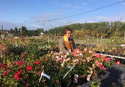 Faîtes votre marché ce dimanche aux Pépinières de Berthem à Zutkerque !