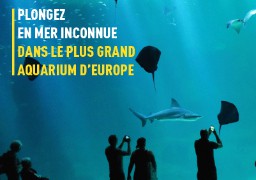 Plongez dans le plus grand aquarium d'Europe... Radio 6 vous invite à Nausicaa