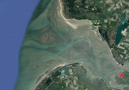 Baie de Somme: 80% de poissons en moins en 30 ans 