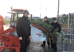 Sangatte: on collecte les sapins pour en faire des copeaux