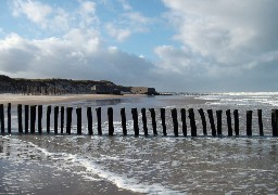 La plage des Escardines à Oye-Plage une nouvelle fois fermée