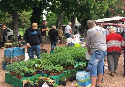 Audruicq, Etaples et Le Touquet sélectionnés pour le concours du plus beau marché de France