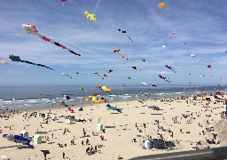 Berck: les Cerfs-Volants c'est dans un mois, quelles seront les nouveautés ? 