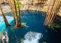 Tropicalia, dont les travaux vont démarrer fin 2019, abritera un cénote!