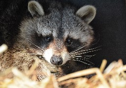 Le Parc zoologique de Fort Mardyck à petits prix pour les vacances de Pâques !