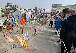 Cerfs-volants : le spectacle est aussi sur le sable au Jardin du Vent 