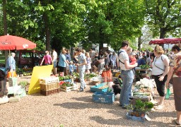 Audruicq veut être le plus beau marché de France !