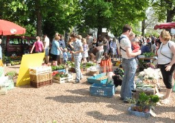 Le marché d'Audruicq est à la 4ème place provisoire du concours du plus beau marché organisé par TF1.  