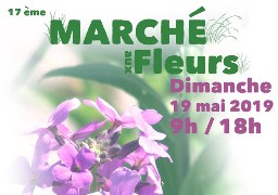 Sangatte : marché aux fleurs dimanche avec plus d’exposants