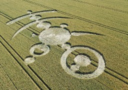 Un crop circle est apparu dans un champ à Nielles-Les-Ardres !