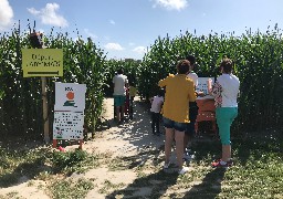 Attention à ne pas vous perdre au labyrinthe de maïs de Laby Parc, à Saint-Josse !