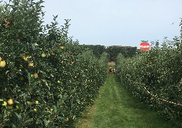 Réouverture du verger de la Beussingue à Peuplingues 