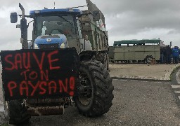 Zones de non-traitement, accords de libre-échange... les agriculteurs mobilisés à Abbeville hier