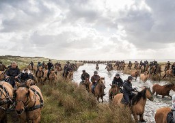 Baie de Somme : 29ème édition de la Trans'Henson ce dimanche