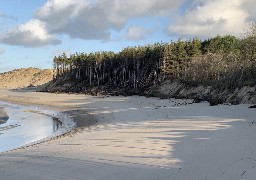 Baie d'Authie: 350.000m3 de sable vont être rechargés au Bois de Sapin 