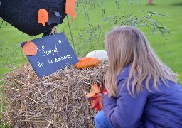 C'est la Fête de la Citrouille aux Jardins de Valloires ce week-end !