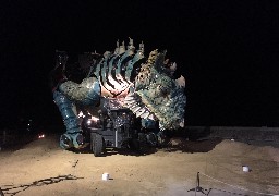 Le Dragon de Calais dort devant la jetée (VIDEO)