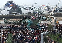 Dragon : retrouvez les photos de cette première journée 