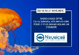 Radio 6 vous invite en famille au plus grand aquarium d'Europe, gagnez vos entrées pour Nausicaa