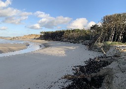 Le Parc naturel marin s'inquiète de l'impact écologique du ré-ensablement massif en Baie d'Authie