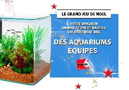 GRAND JEU DE NOEL - Gagnez un aquarium avec Animal Store 