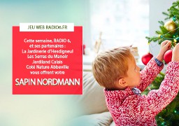 JEU WEB - Gagnez votre sapin Nordmann en jouant avec nos partenaires sur Radio6.fr