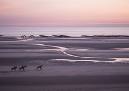 La Baie de Somme attire les touristes pendant ces vacances d'hiver