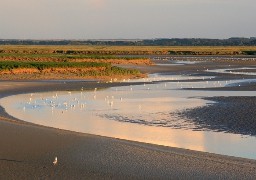 Parc naturel régional Baie de Somme Picardie Maritime : 